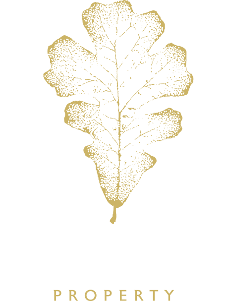 Cúl Dara